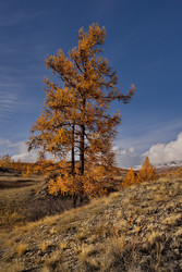 Similar image 22362634