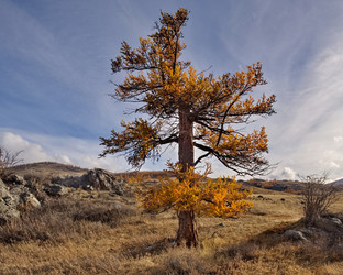 Similar image 22362635