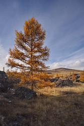 Similar image 22362641