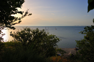 Similar image 22354489