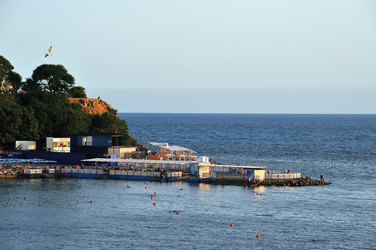 Similar image 22354491