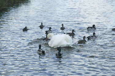 Similar image 22353844