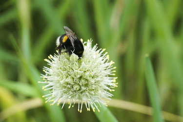 Similar image 22353845