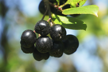 Similar image 22353846