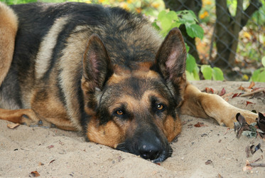 Similar image 22353850