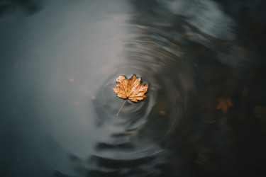 Similar image 22359280