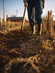 Similar image 22359284