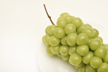 Similar image 22363656