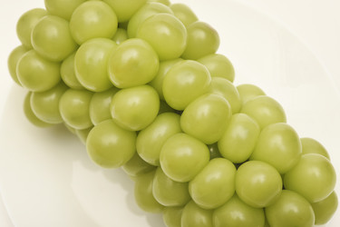 Similar image 22363658