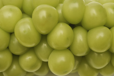 Similar image 22363659