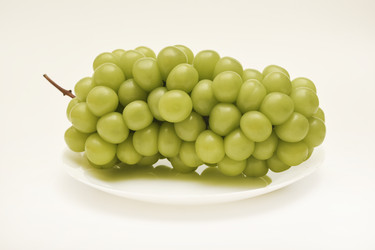 Similar image 22363670