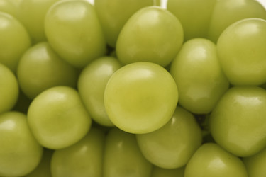 Similar image 22363671