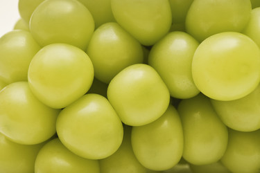 Similar image 22363672