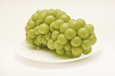 Similar image 22363673