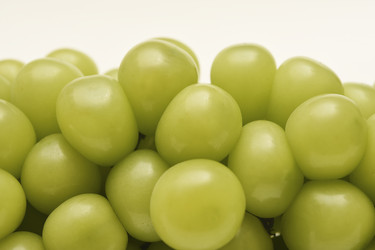 Similar image 22363674