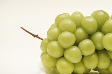 Similar image 22363687