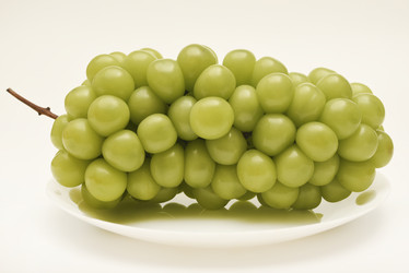 Similar image 22363688