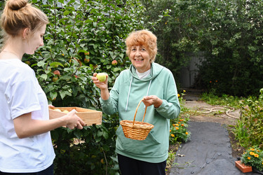 Similar image 22359000