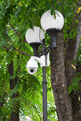 Similar image 22359002