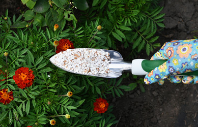 Similar image 22363625