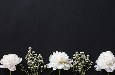 Similar image 22372921