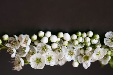 Similar image 22372926