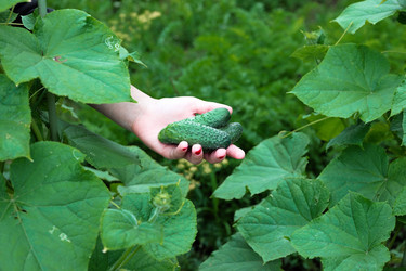 Similar image 22372935