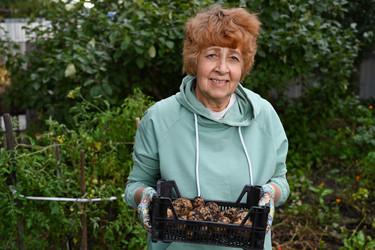 Similar image 22372943