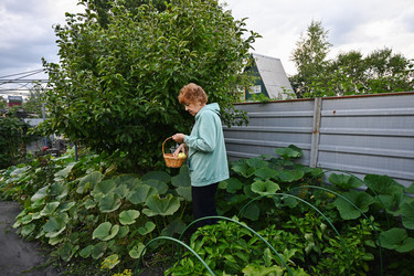 Similar image 22372945