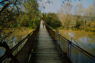 Similar image 22353041