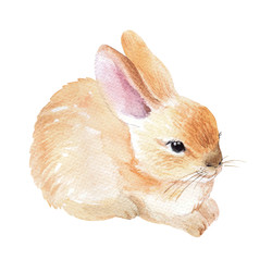 Similar image 22363567