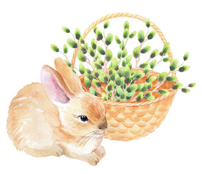 Similar image 22363569