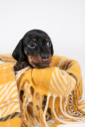 Similar image 22377256