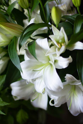 Similar image 22353057