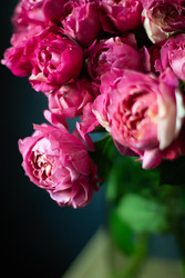 Similar image 22353058