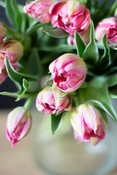 Similar image 22353059