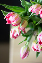 Similar image 22353060