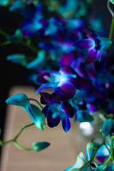 Similar image 22353061