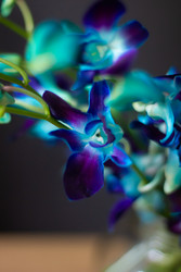 Similar image 22353062