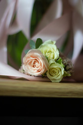 Similar image 22353065