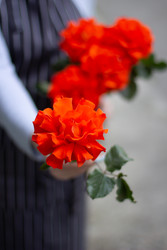 Similar image 22353066