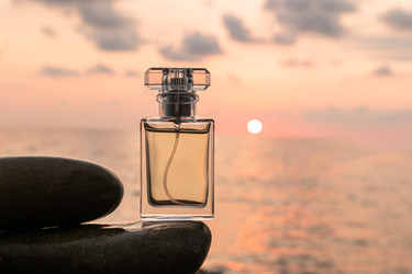 Similar image 22353077