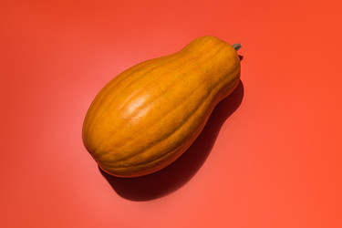 Similar image 22354569