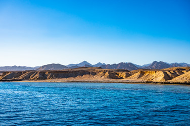 Similar image 22354848