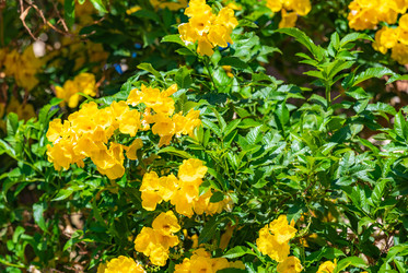 Similar image 22354856