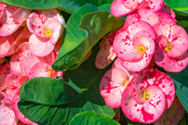 Similar image 22354890