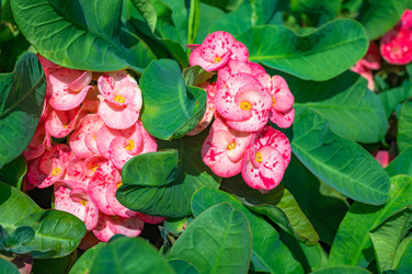 Similar image 22354893