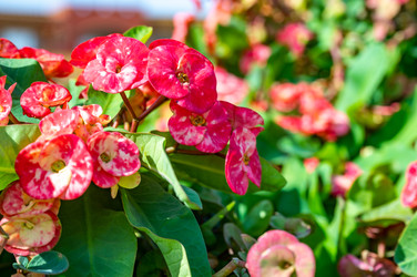 Similar image 22354894