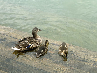 Similar image 22354526