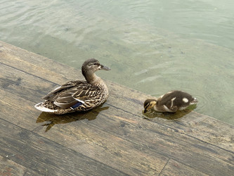 Similar image 22354529